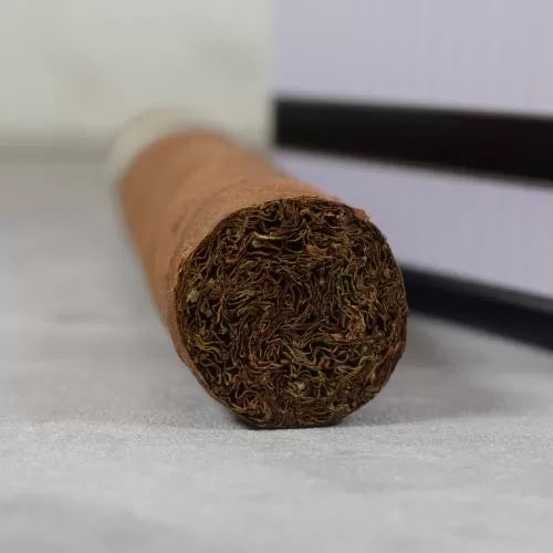 فيغيروس شورت