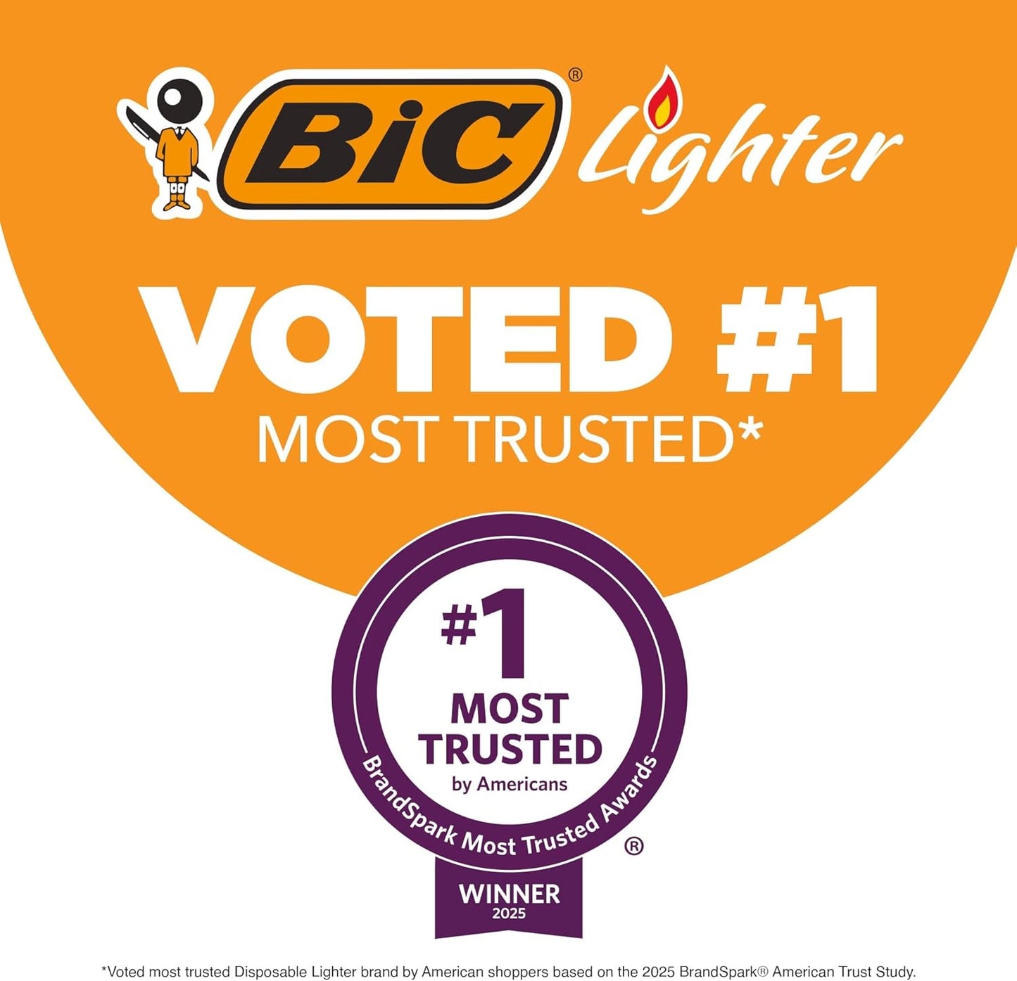 BIC Classic Lighter -1