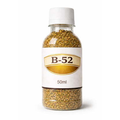 B-52 Dokha
