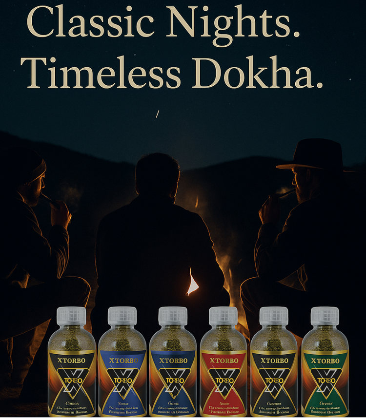X TORBO DOKHA Autentic From Dubia